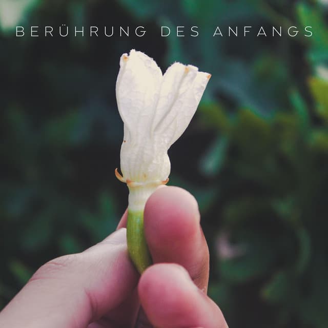 Berührung des Anfangs - Tiefenentspannung Academy