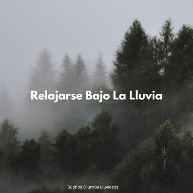 Sueños Diurnos Lluviosos: Relajarse Bajo La Lluvia - Lluvia Para Dormir Mejor