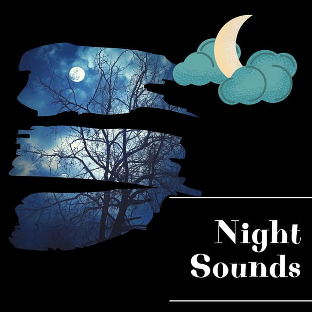 Night Sounds - Night Sounds Channel