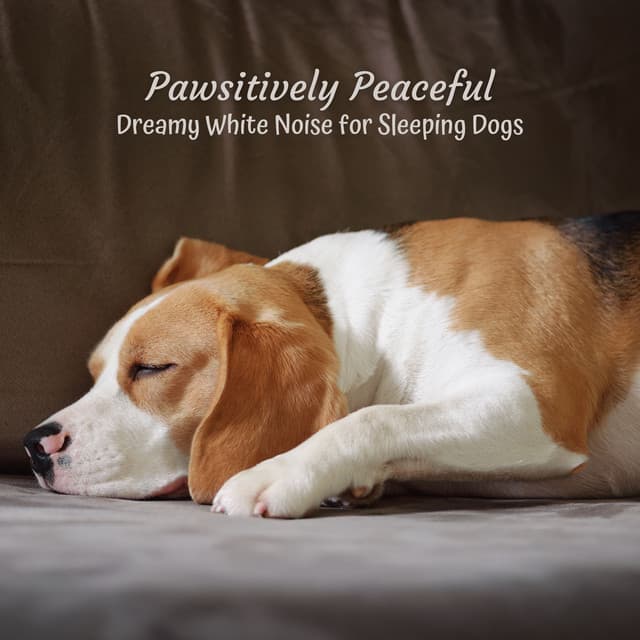 Pawsitively Peaceful: Dreamy White Noise for Sleeping Dogs - White Noise Universe