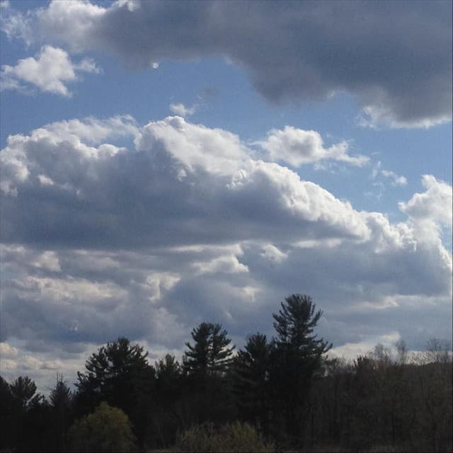 For the Love of Beautiful Melodies - David Bond