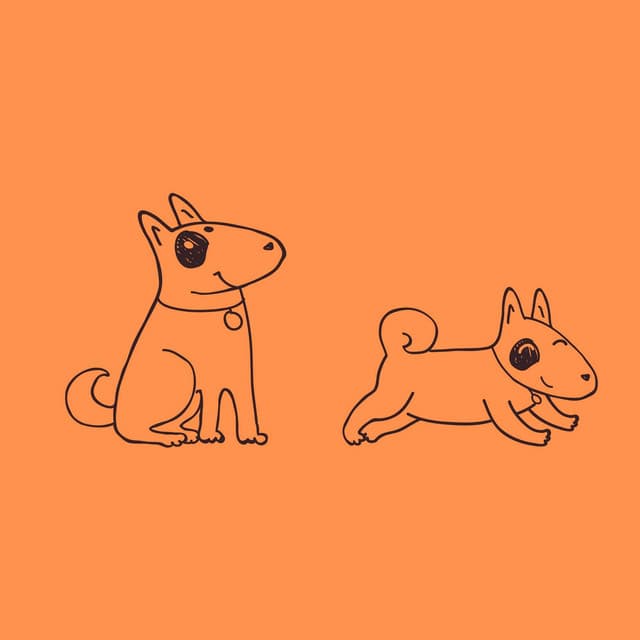 Groovy Ambiance for Chilled Pooches - Doggy Relaxing Sounds