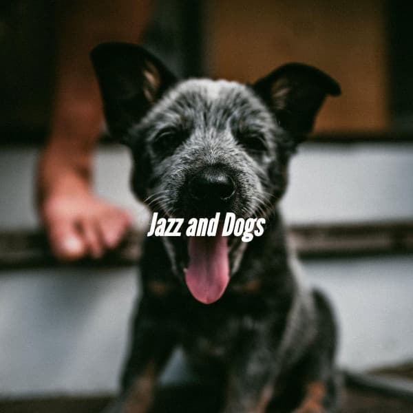 Jazz and Dogs - Jazz for Dogs