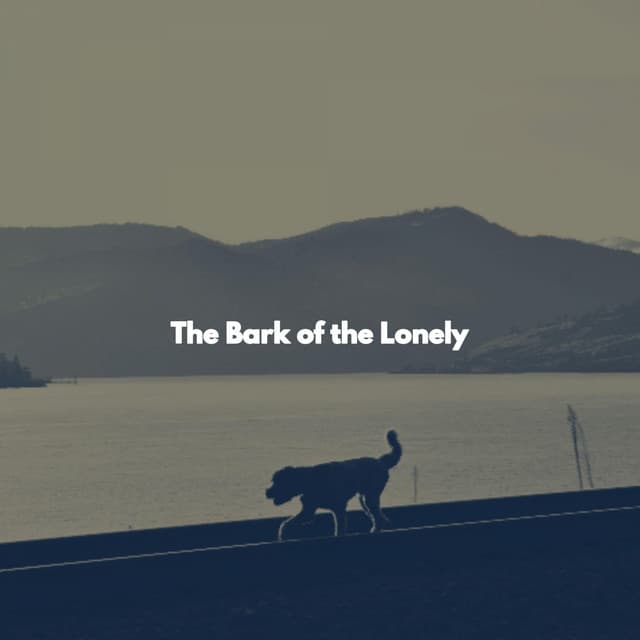 The Bark of the Lonely - Musica de Jazz para Hoteles