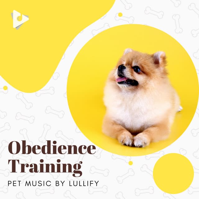 Obedience Training - Pet Music by Lullify