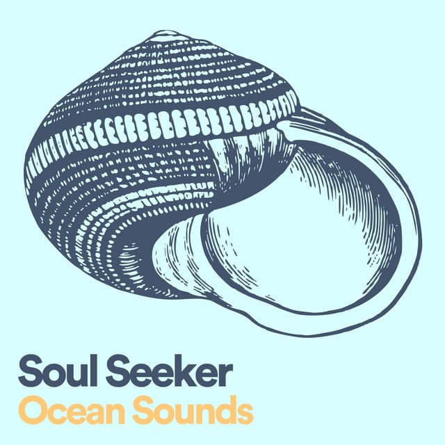 Soul Seeker - Sounds of Nature Noise