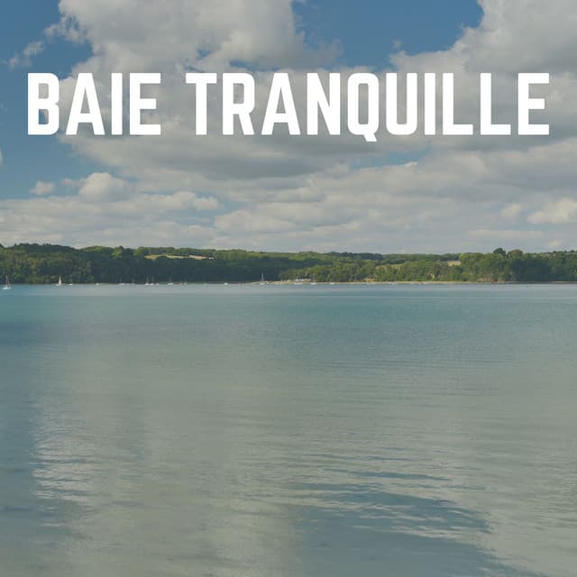 Baie Tranquille - Vagues Dans La Mer