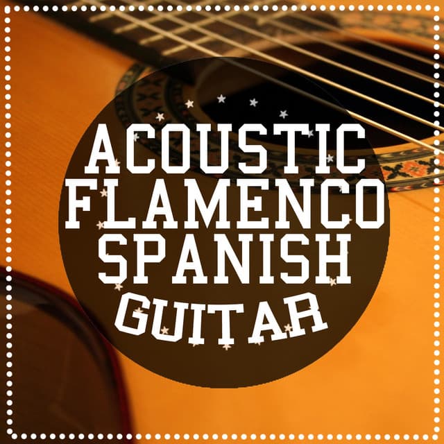 Acoustic Flamenco Spanish Guitar - Acoustic Guitar