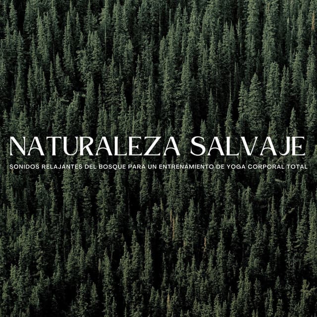 Naturaleza Salvaje: Sonidos Relajantes Del Bosque Para Un Entrenamiento De Yoga Corporal Total - El colectivo de la selva tropical