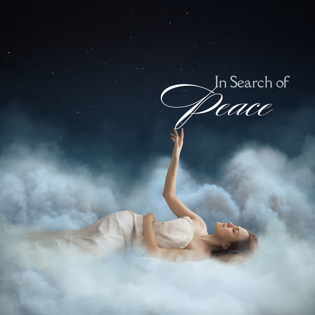 In Search of Peace - Armina Polack