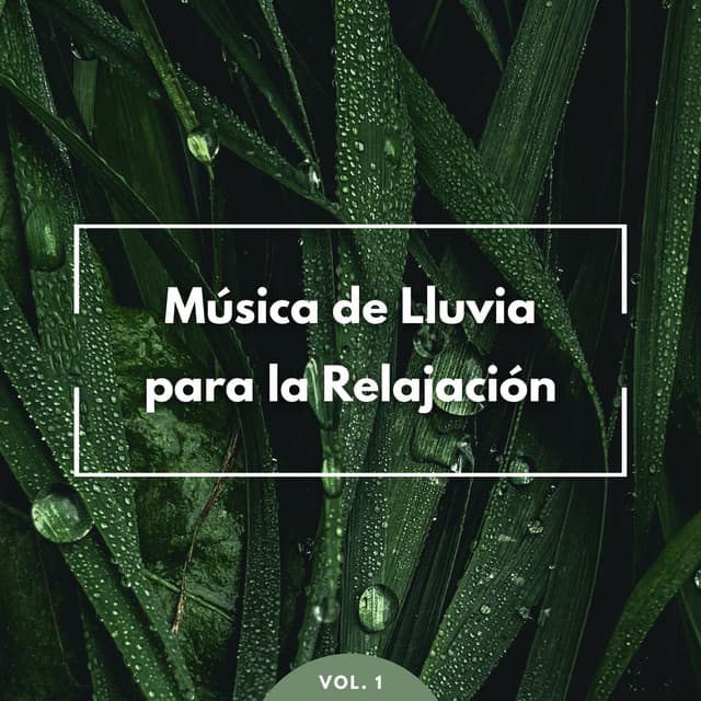 Música De Lluvia Para La Relajación Vol. 1 - Lluvia del Pacifico