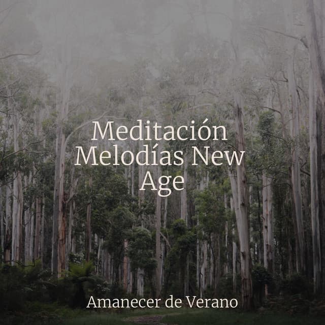 Meditación Melodías New Age - Sons da Natureza