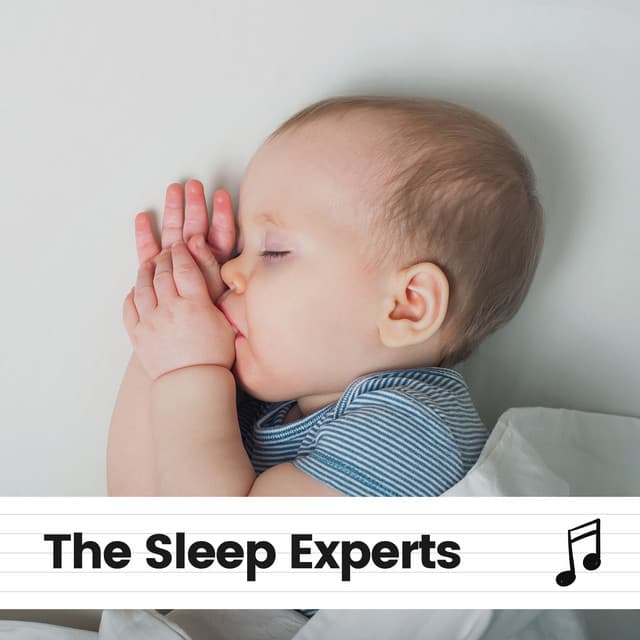 The Sleep Experts - Sleeping Baby