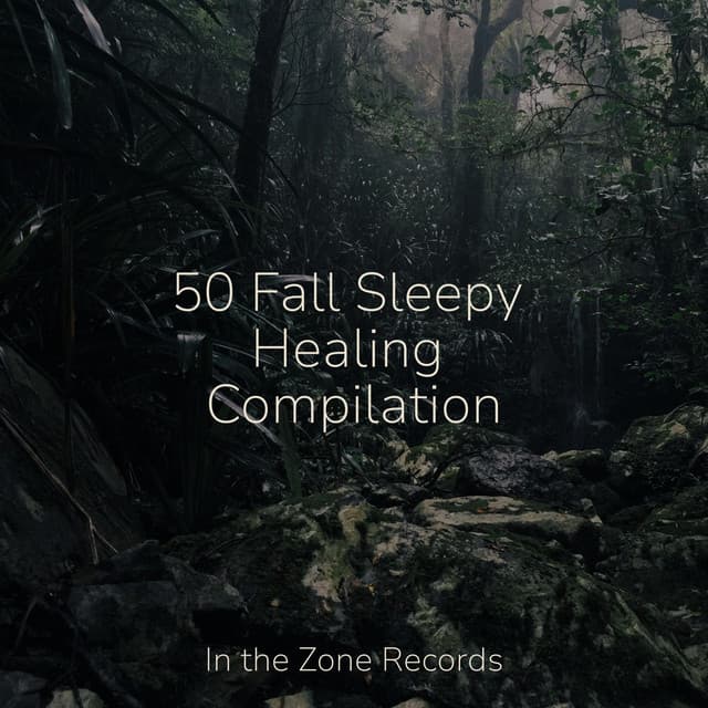 50 Fall Sleepy Healing Compilation - Happy Baby Lullaby Collection
