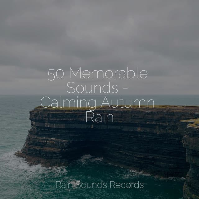50 Memorable Sounds - Calming Autumn Rain - Sounds of Nature Relaxation