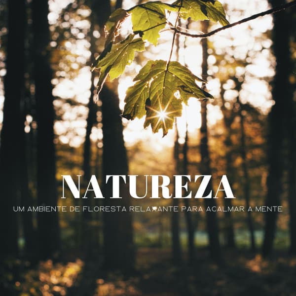 Natureza: Um Ambiente De Floresta Relaxante Para Acalmar A Mente - Música Para Cães Adormecidos