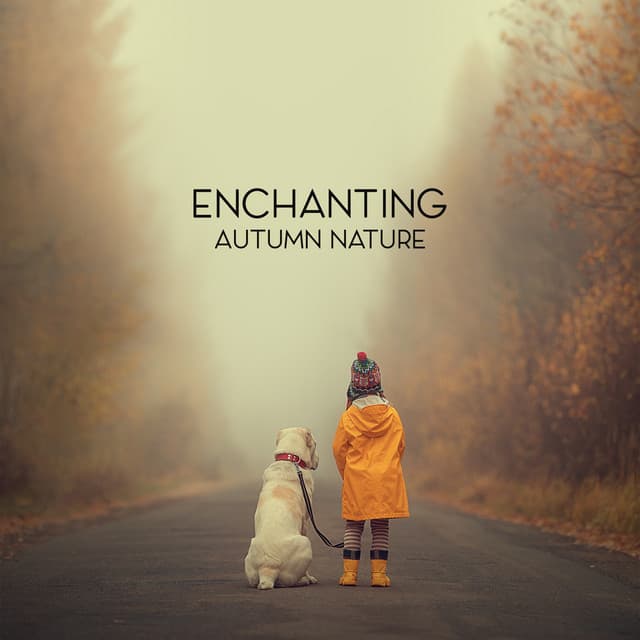 Enchanting Autumn Nature: Rain in Spruce Forest, Fog, Swaying Branches in Wind - Relaxation Area