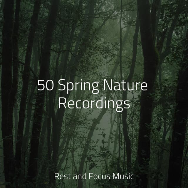 50 Spring Nature Recordings - Deep Focus