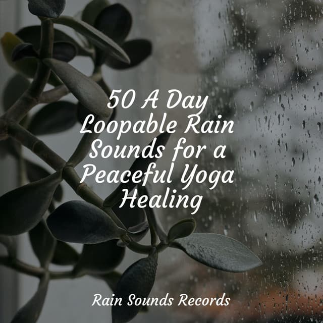 50 A Day Loopable Rain Sounds for a Peaceful Yoga Healing - Nature Sounds Nature Music