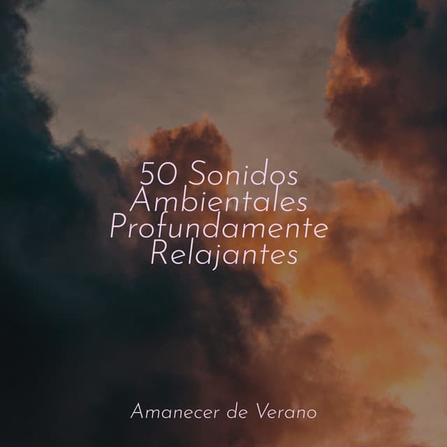 50 Sonidos Ambientales Profundamente Relajantes - Sons da Natureza