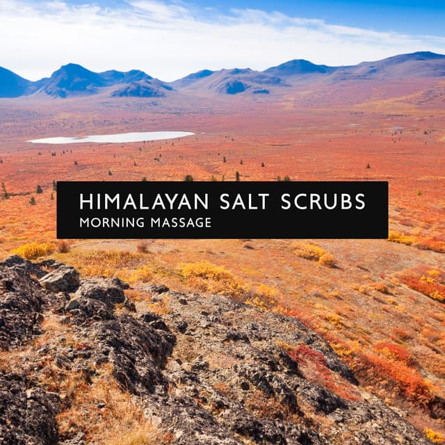 Himalayan Salt Scrubs: Morning Massage, Natural Soundscapes for Massage, Reiki Distance Healing, Beauty Salon - Pure Massage for Life Universe