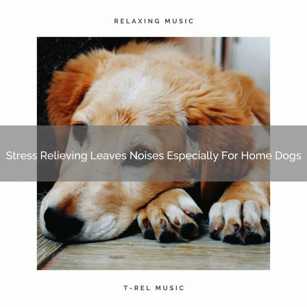 Stress Relieving Leaves Noises Especially For Home Dogs - Dog Total Relax