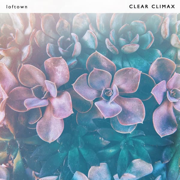 Clear Climax - loftown