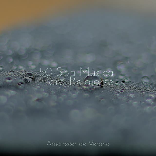 50 Spa Música Para Relajarse - Musica Para Estudiar Academy