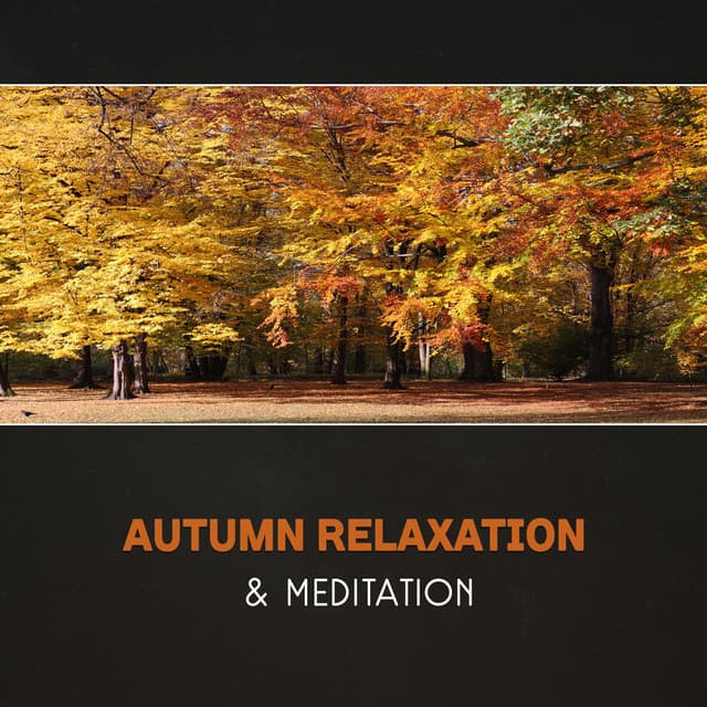 Autumn Relaxation & Meditation – Zen Garden, Forest River Sounds, Mindfulness & Yoga, Tranquil Ambient, New Age, Deep Serenity, Gratitude & Appreciation - Harmony Nature Sounds Academy