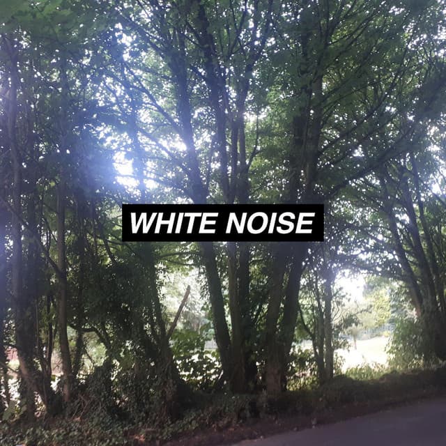 Rain Noise Collectors