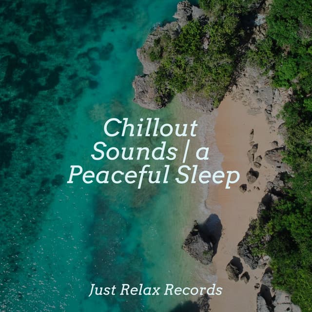 Chillout Sounds | a Peaceful Sleep - Meditation Relaxation Club