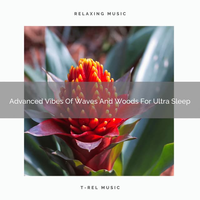 Advanced Vibes Of Waves And Woods For Ultra Sleep - Sea Waves Sounds