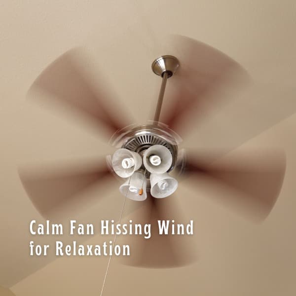 Calm Fan Hissing Wind for Relaxation - Relax Meditate Sleep Media