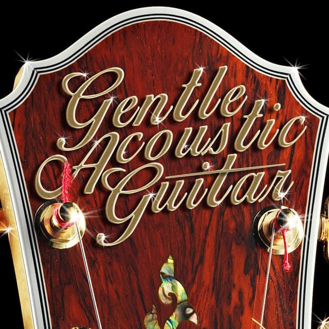 Gentle Acoustic Guitar - Guitar Songs