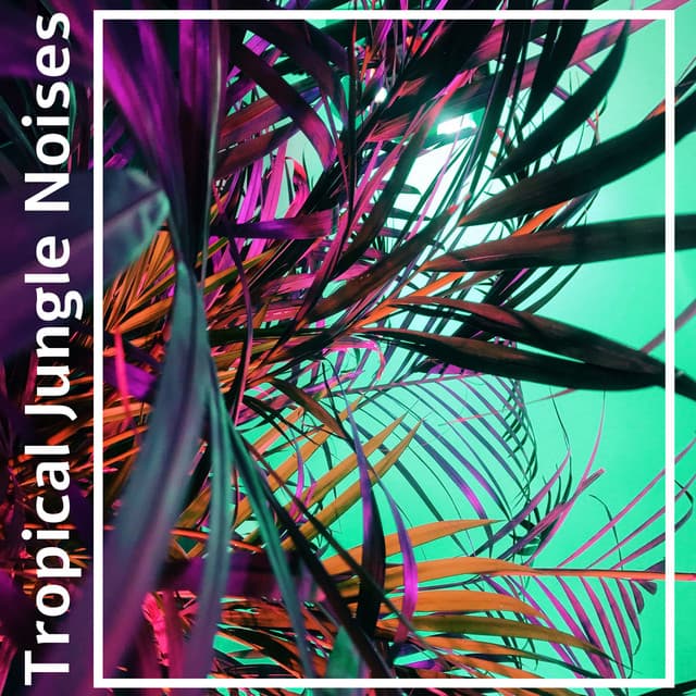 Tropical Jungle Noises – Ambient Nature and Animals Sounds Collection - The Calming Sounds Of Nature