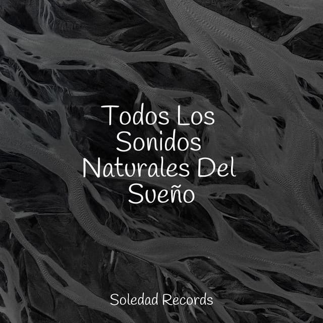 Todos Los Sonidos Naturales Del Sueño - Música ambiental relajante