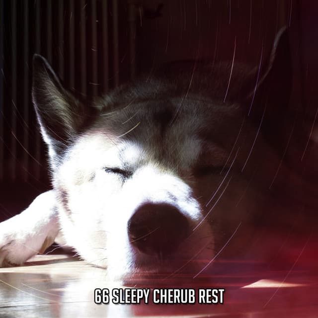 66 Sleepy Cherub Rest - Sounds of Nature Relaxation