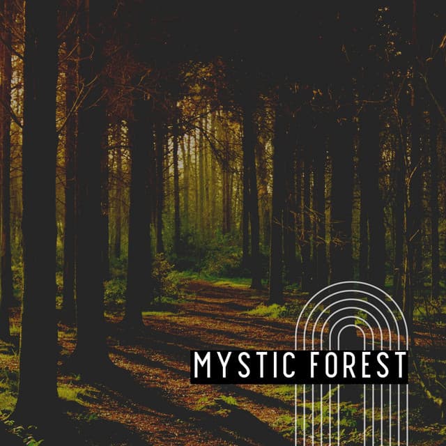 Mystic Forest - Lucid Dreaming Music