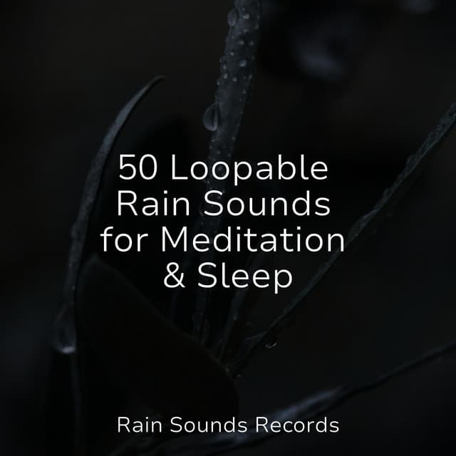 50 Loopable Rain Sounds for Meditation & Sleep - Yoga