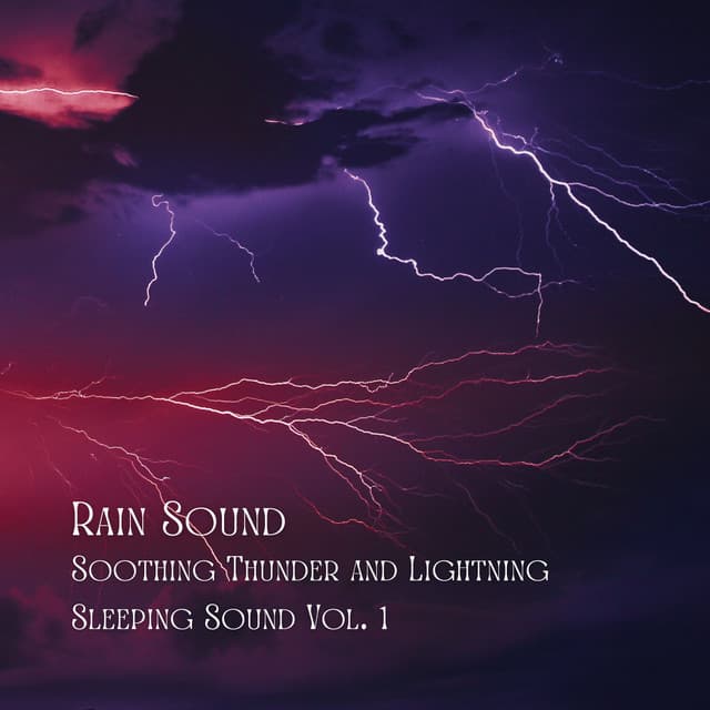 Rain Sound: Soothing Thunder and Lightning Sleeping Sound Vol. 1 - Songs for Dogs to Sleep To