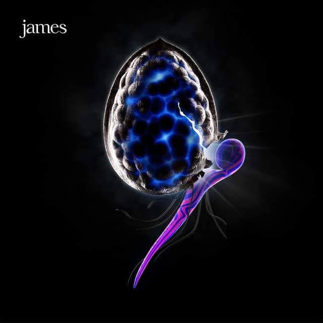 The Night Before - James