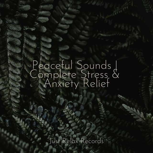 Peaceful Sounds | Complete Stress & Anxiety Relief - Lounge relax