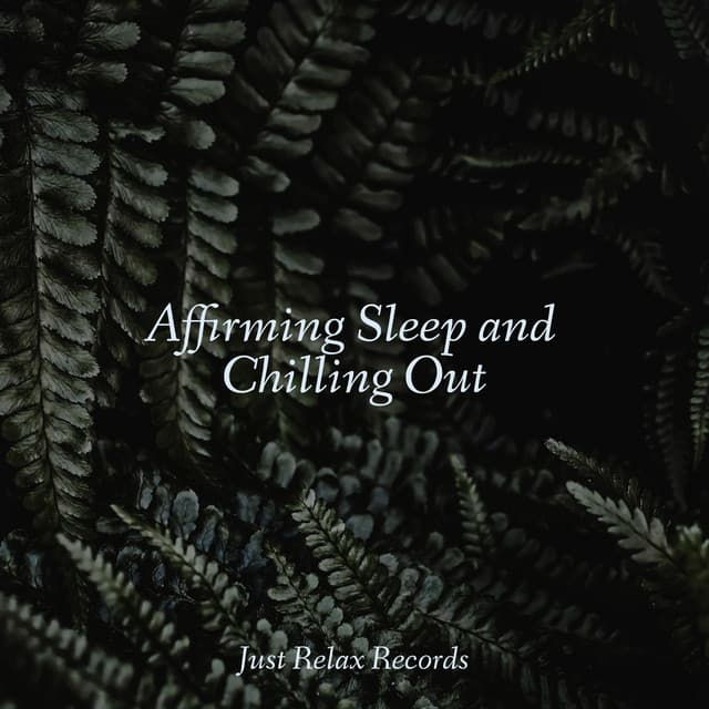 Affirming Sleep and Chilling Out - Musica para Meditar