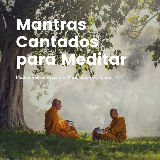 Mantras Cantados para Meditar: Música Relajante para la Meditación Profunda - Meditación Maestro