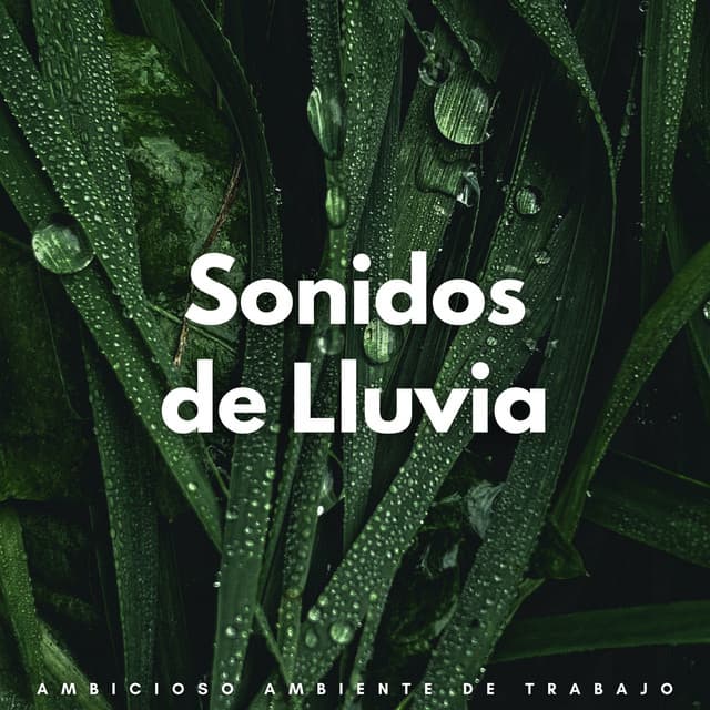 Sonidos De Lluvia: Ambicioso Ambiente De Trabajo - Lluvia