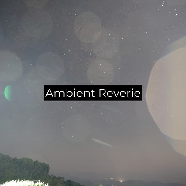 Ambient Reverie - ohm waves