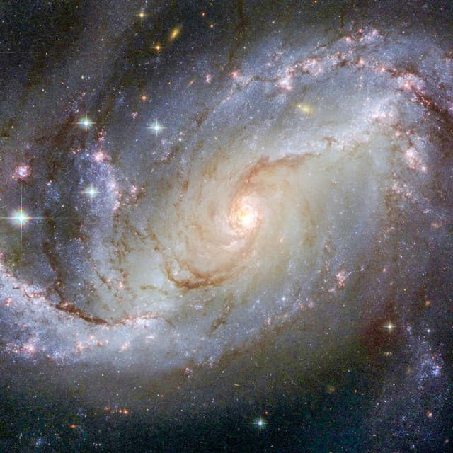 1K Hz White Noise: Calm - White Noise