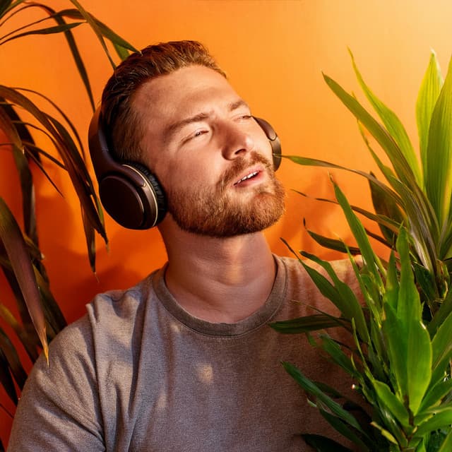 Armonía Lofi: Flujo Musical Suave - Música de la Naturaleza