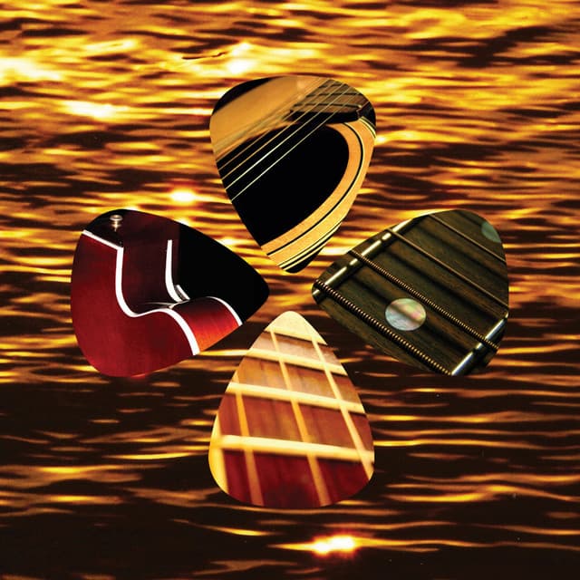 Acoustic Feelgood Guitars - Stephan Diez