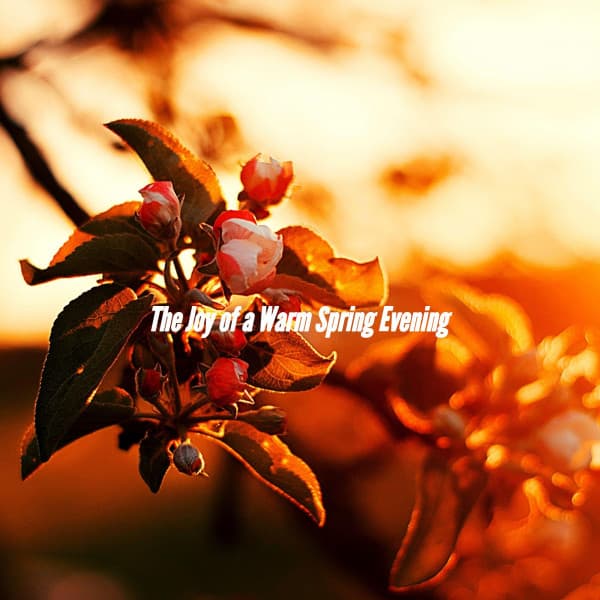 The Joy of a Warm Spring Evening - Coffee Jazz